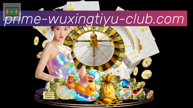五星体育直播品牌故事